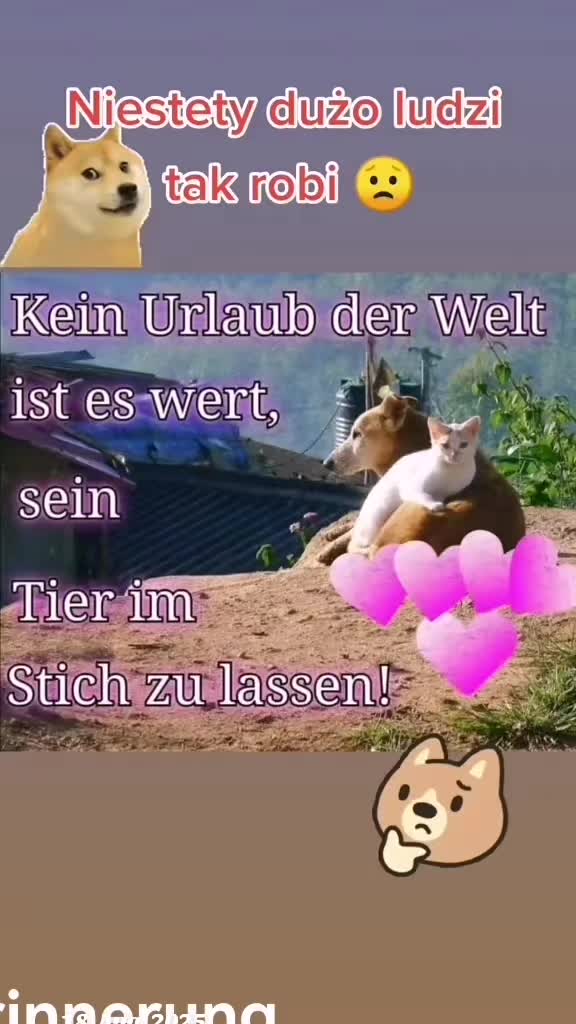 @Moniczka2323🇵🇱🇩🇪