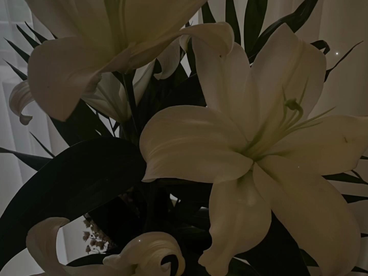 @звуки для липсингов