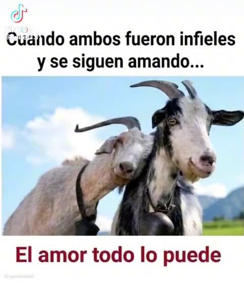 @alexisg1965