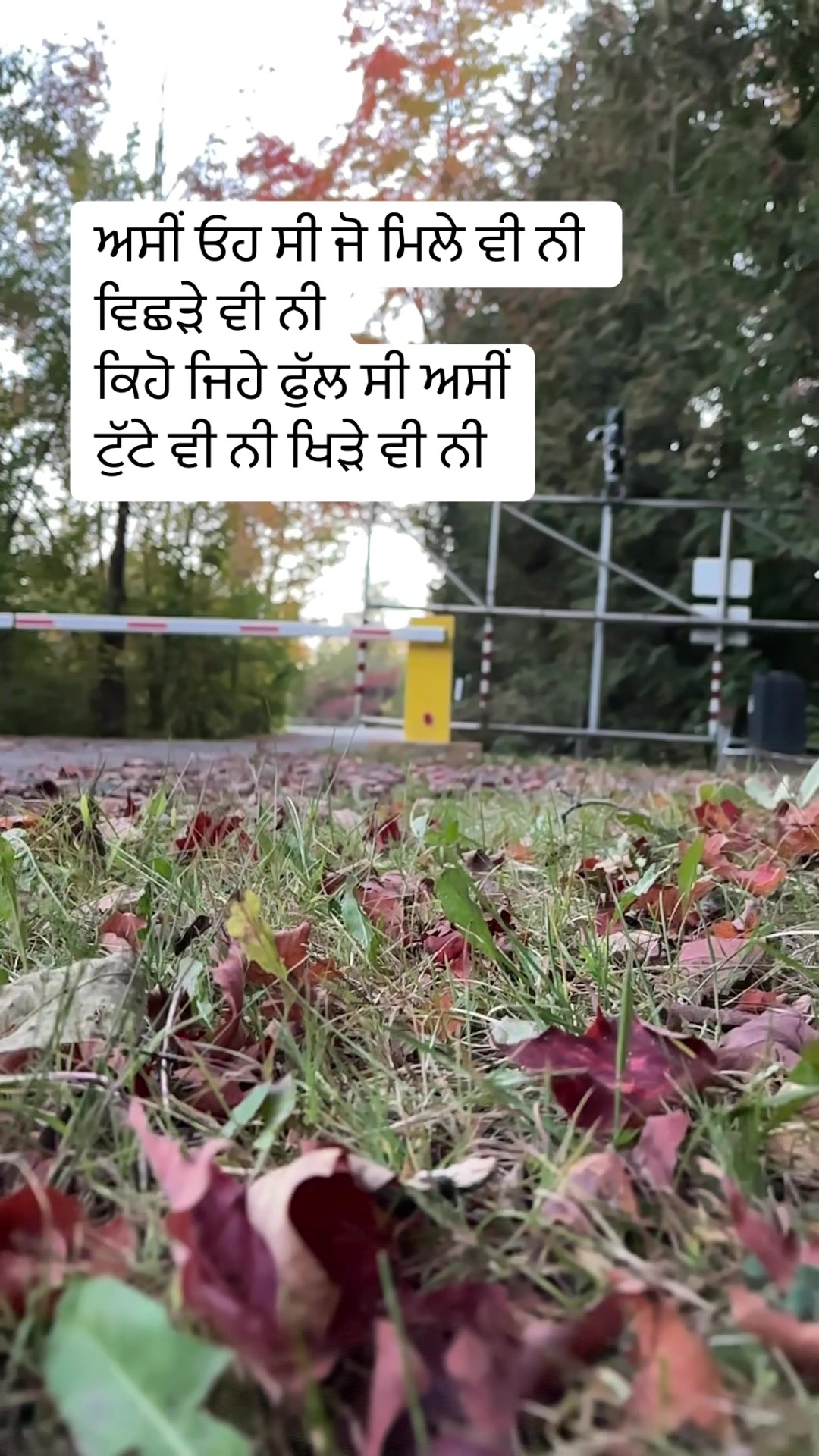 @ਜਜ਼ਬਾਤੀ