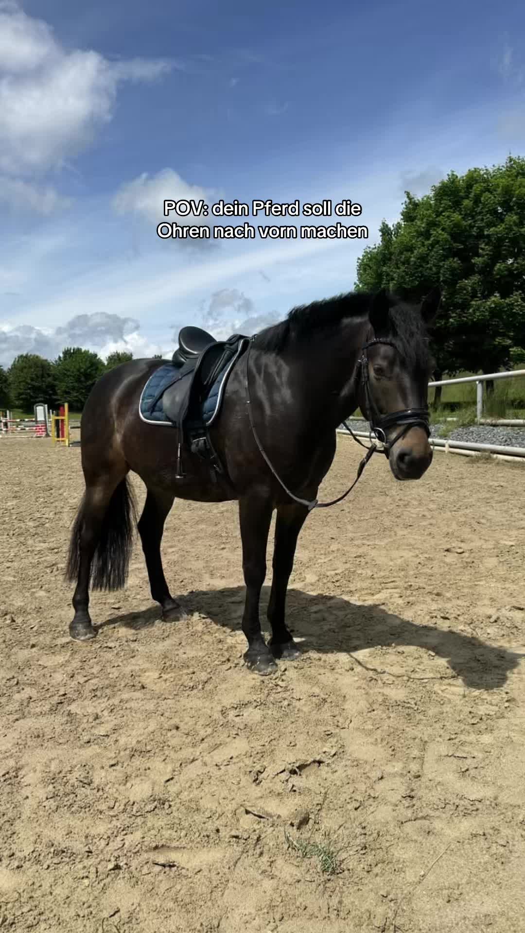 @Artos & Antonia🤎