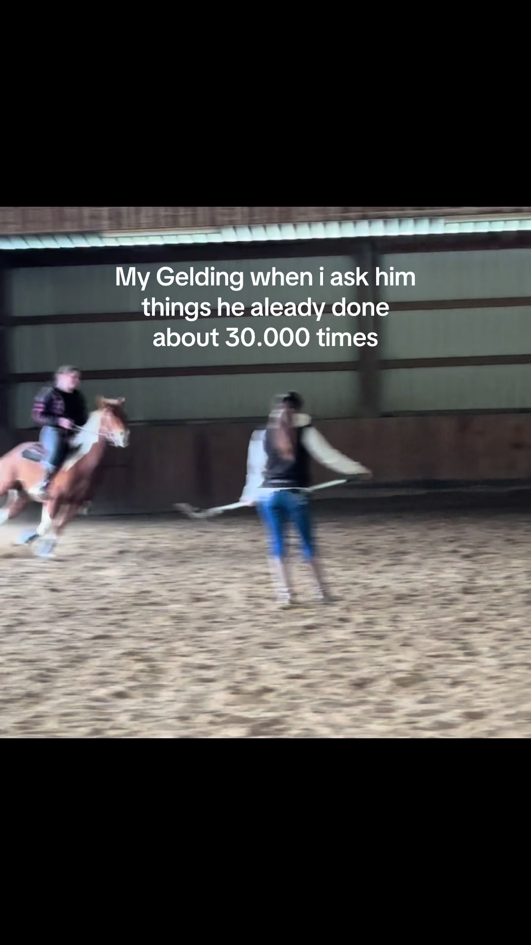 @reitmuraene