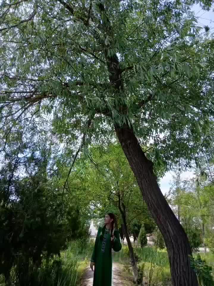 @сурай_🪐