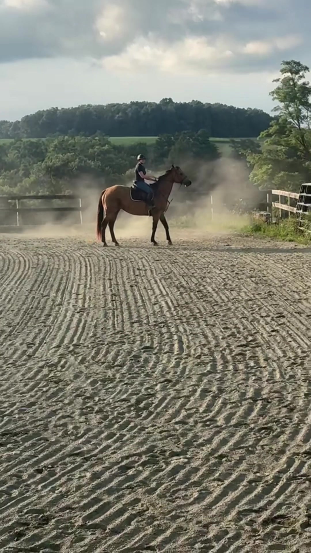 @Aftyn 🐎