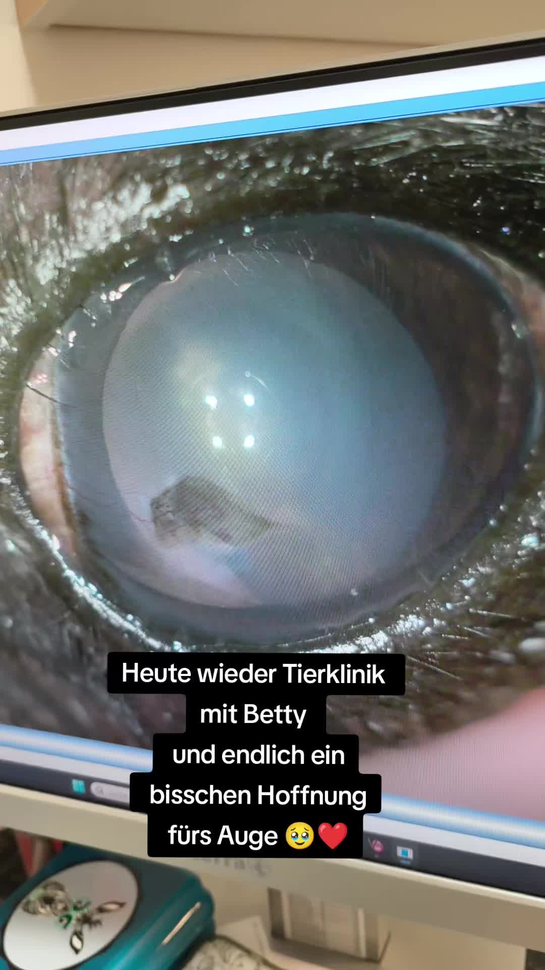 @Dr. Betty Boo