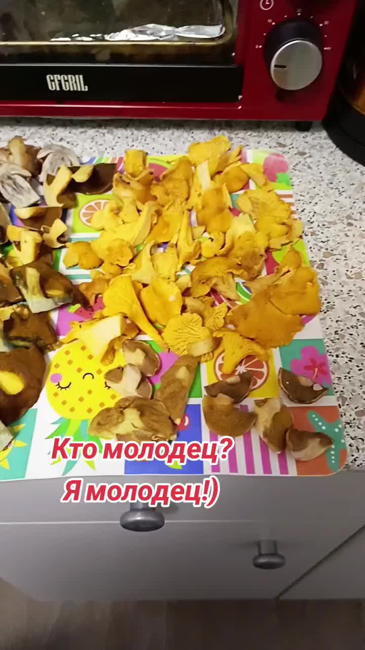 @user2278096979685