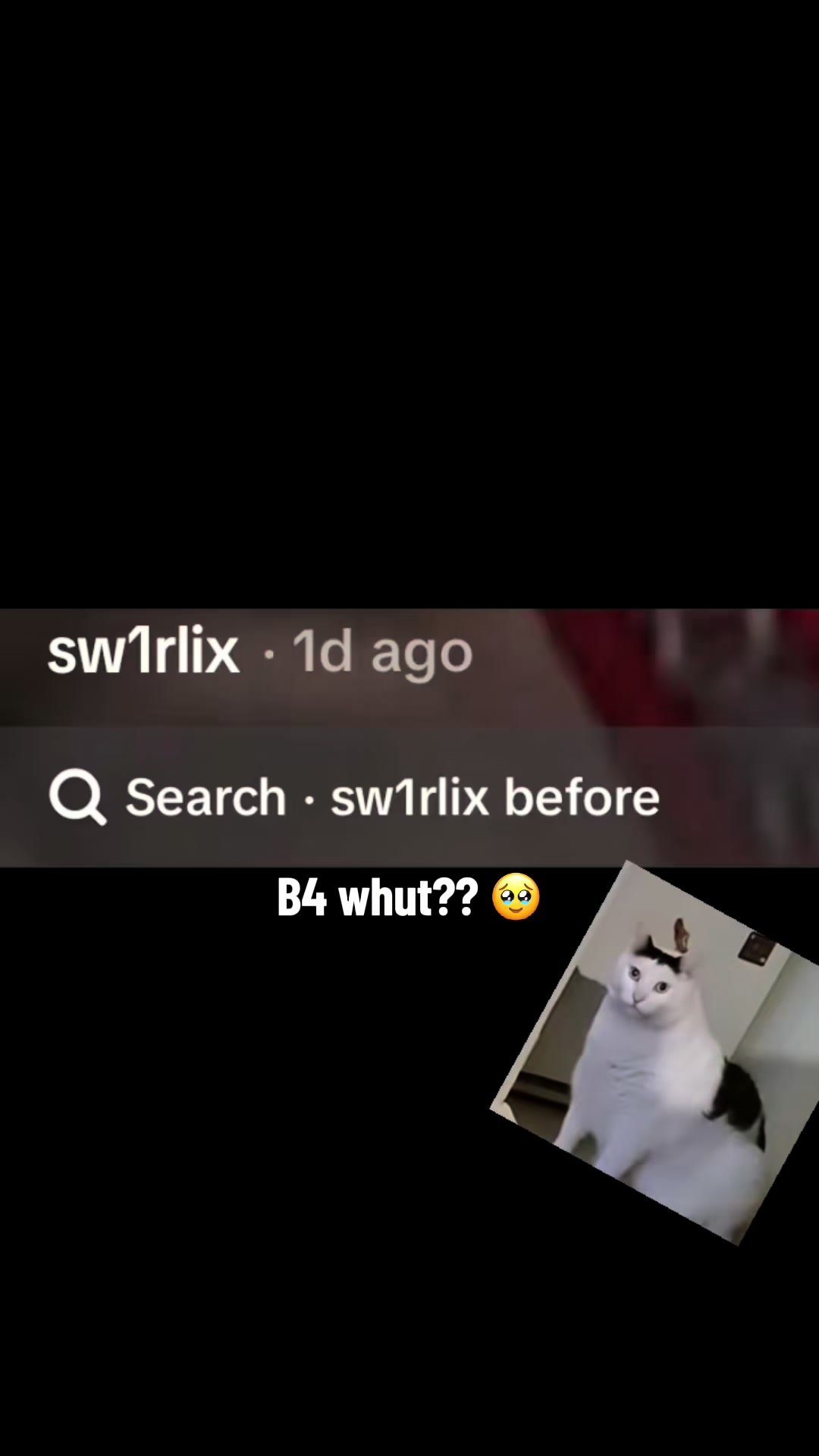 @sw1rlix