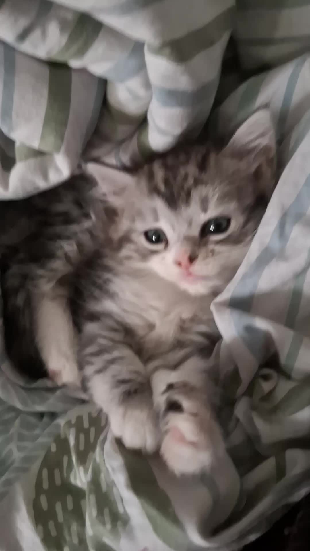 @E L L I G R A C E