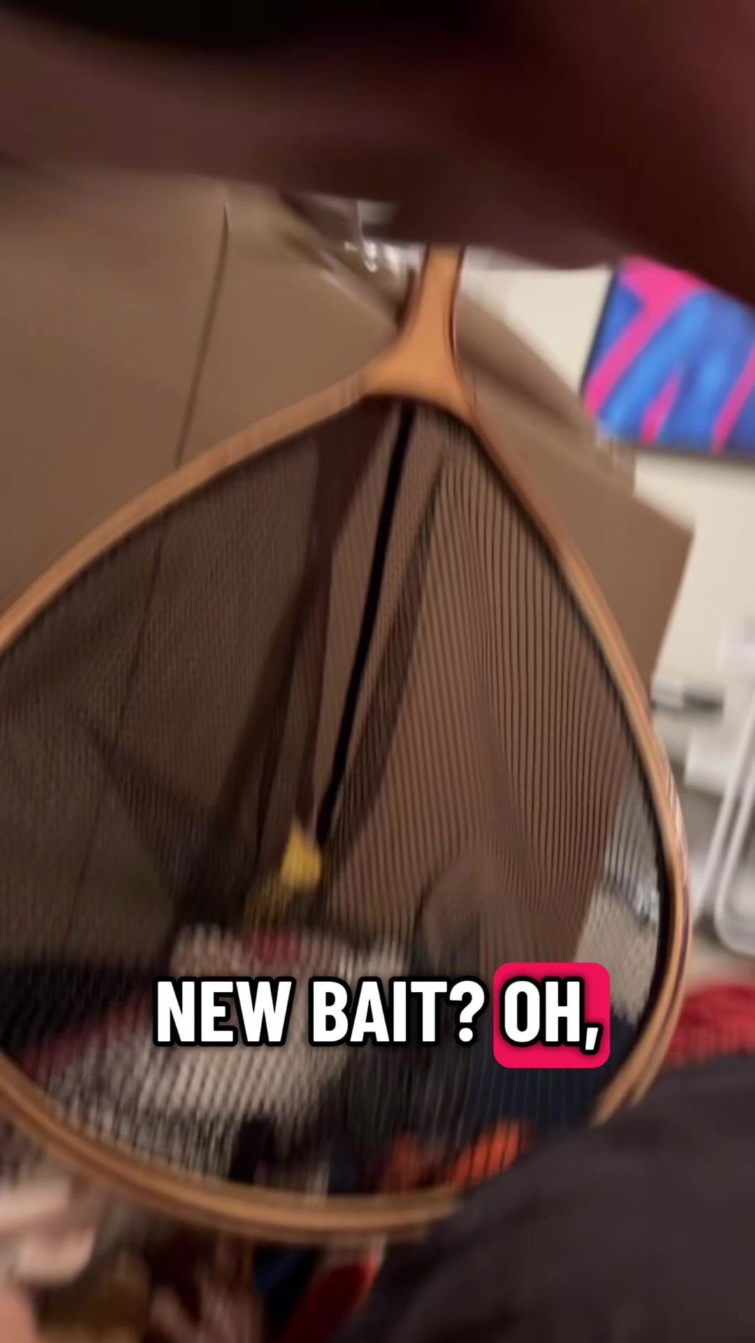 @sachistabs
