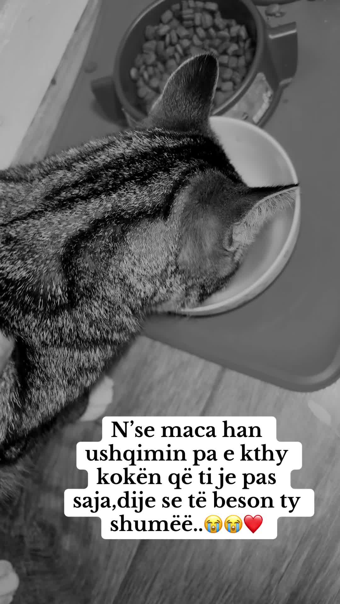 @Vdes per këto te dyja😻😻