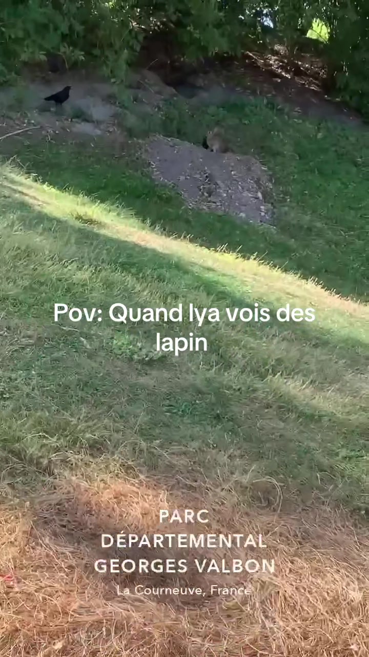 @Les aventures de Lya
