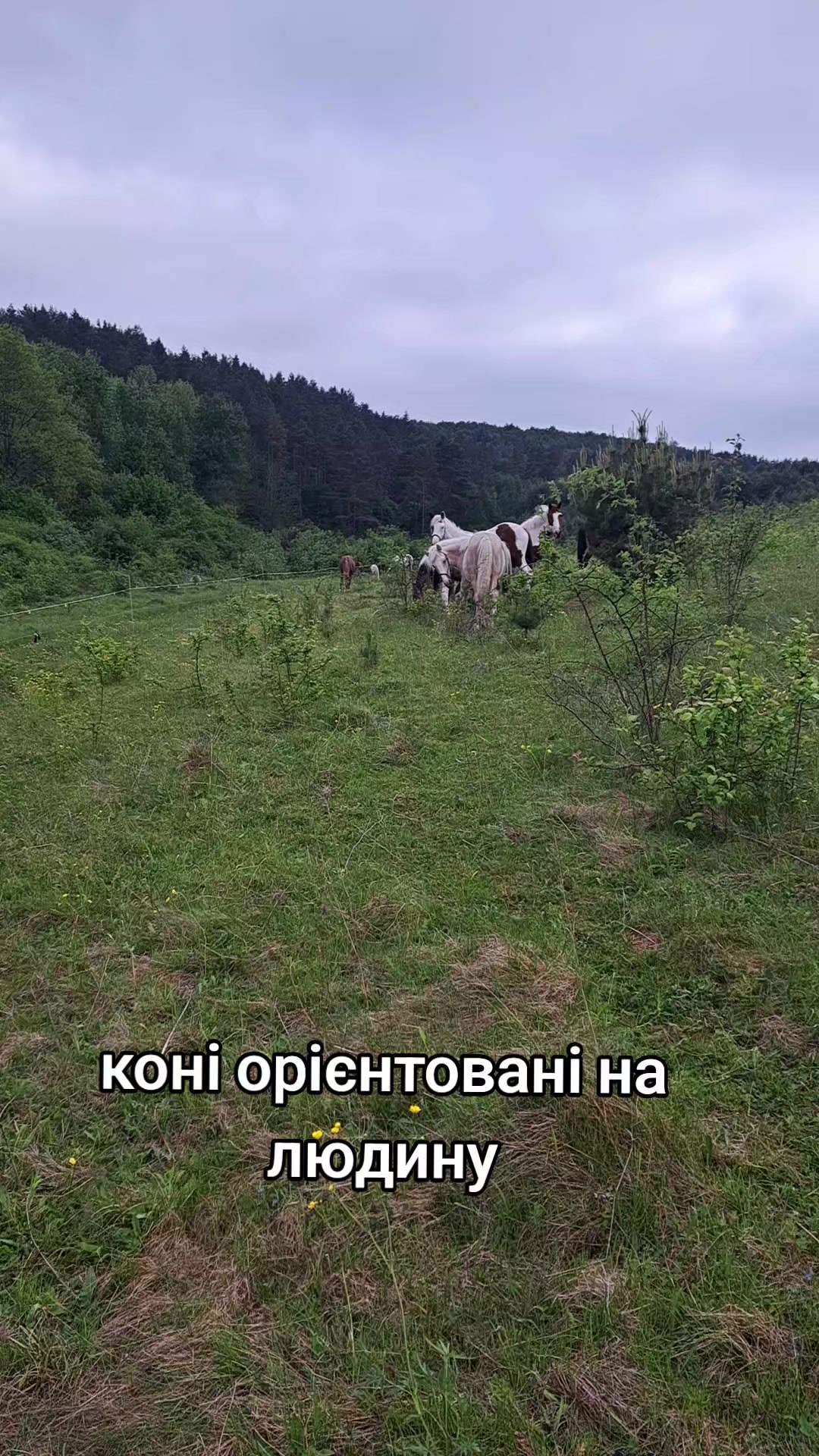 @Катерина Германюк