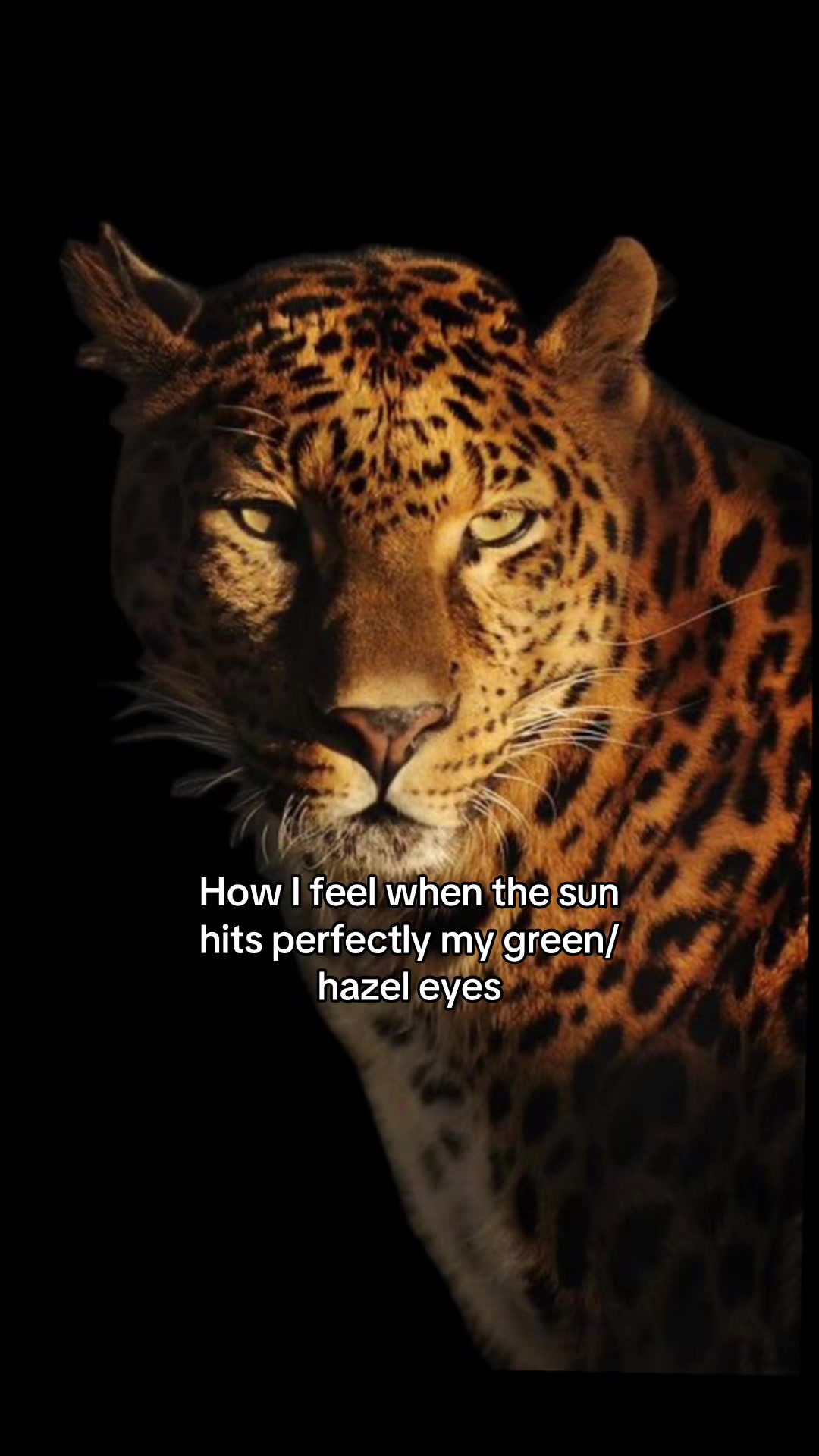@Дива