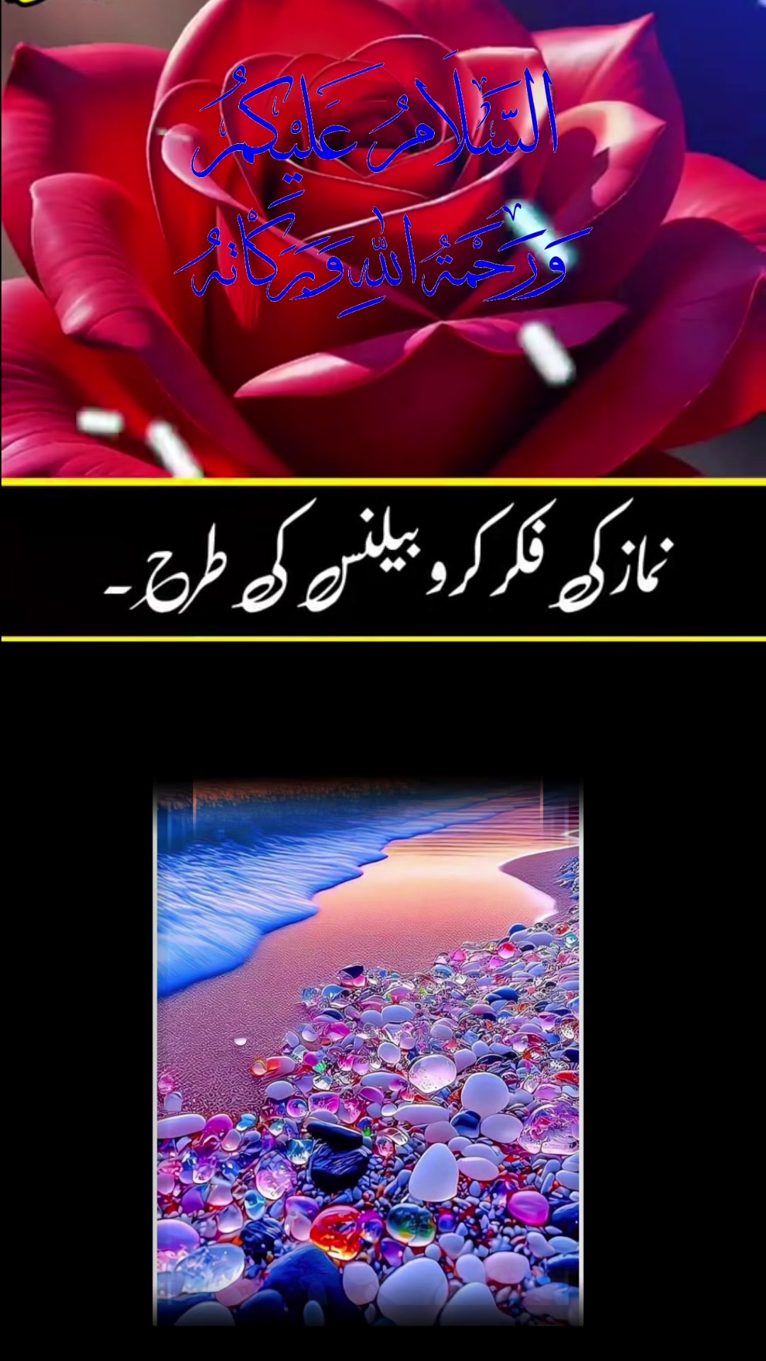 @madinamunawar7