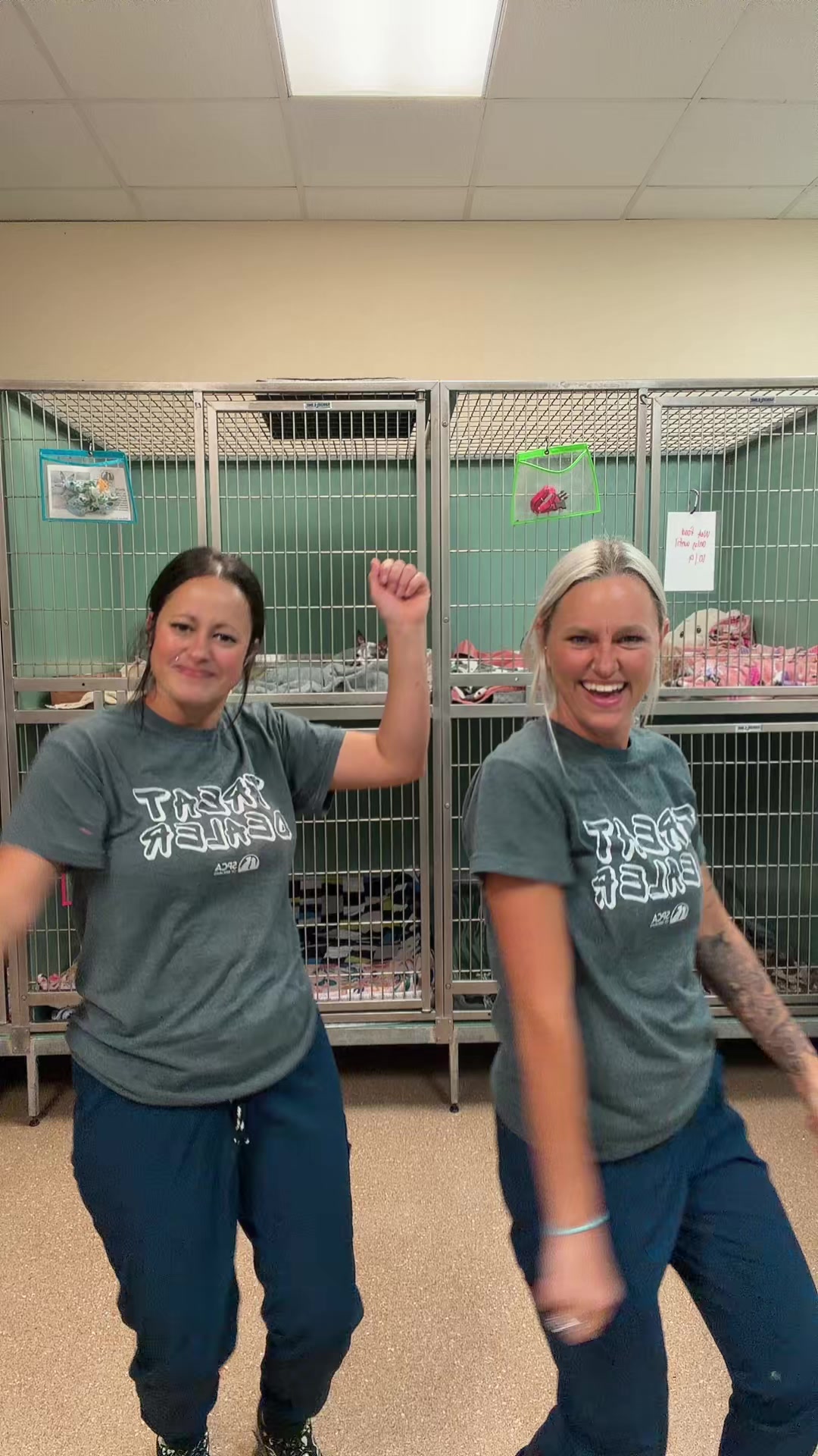 @2vettechs
