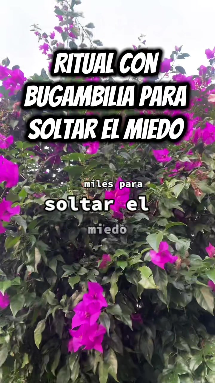 @RitualesPoderosos