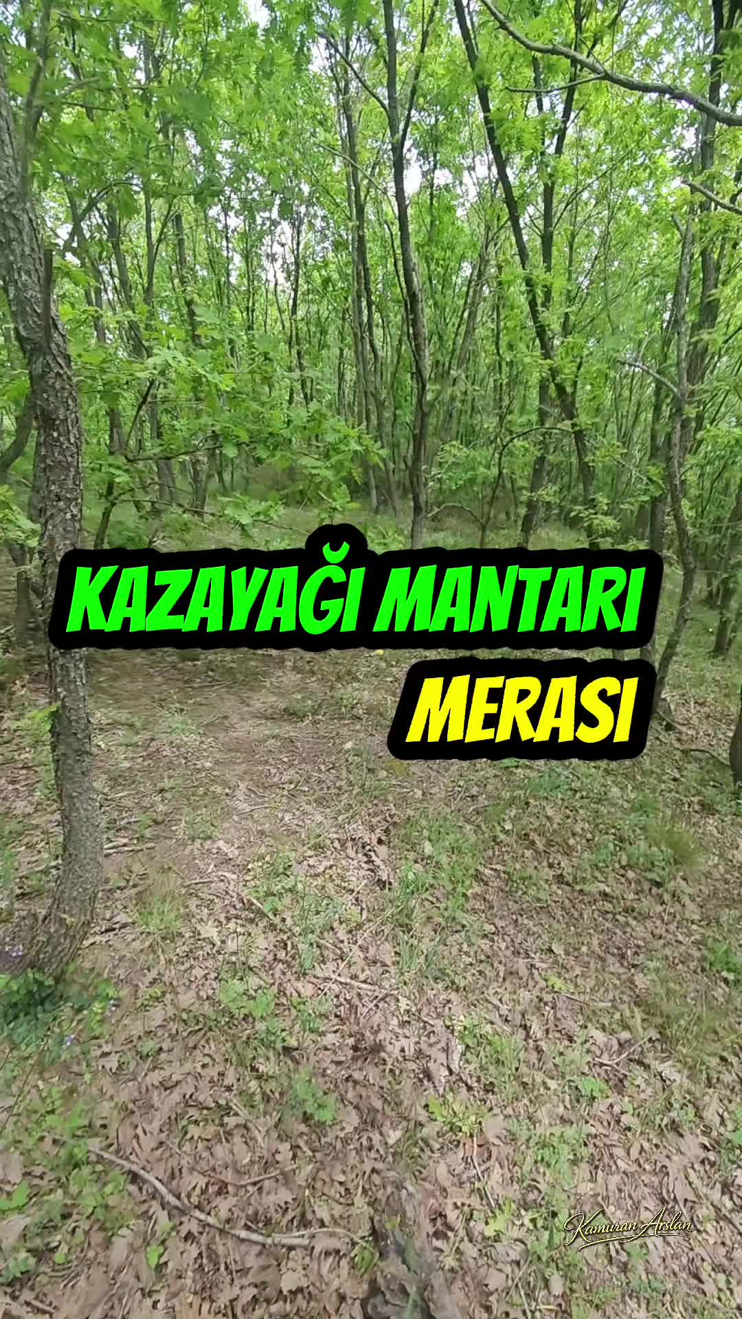 @Kamuran Arslan