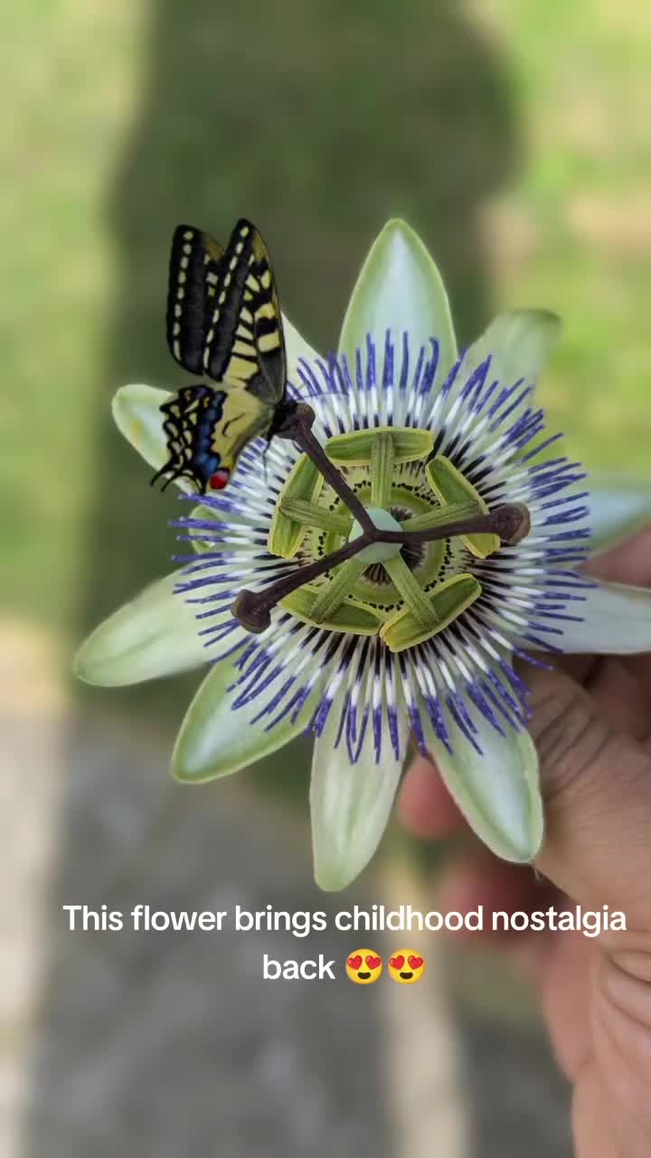 @MindBubblesOfAjay