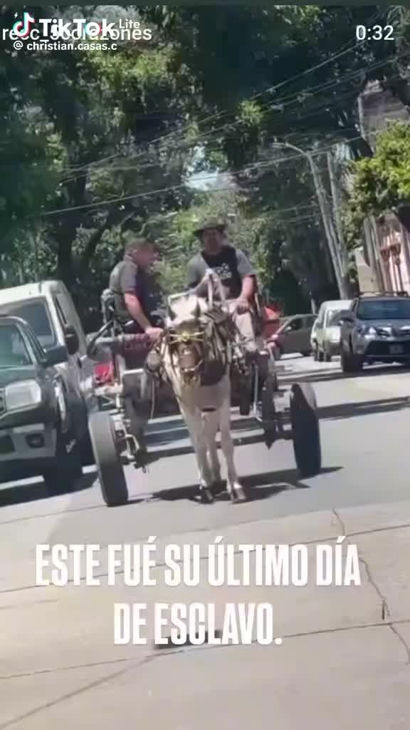 @danielacejas