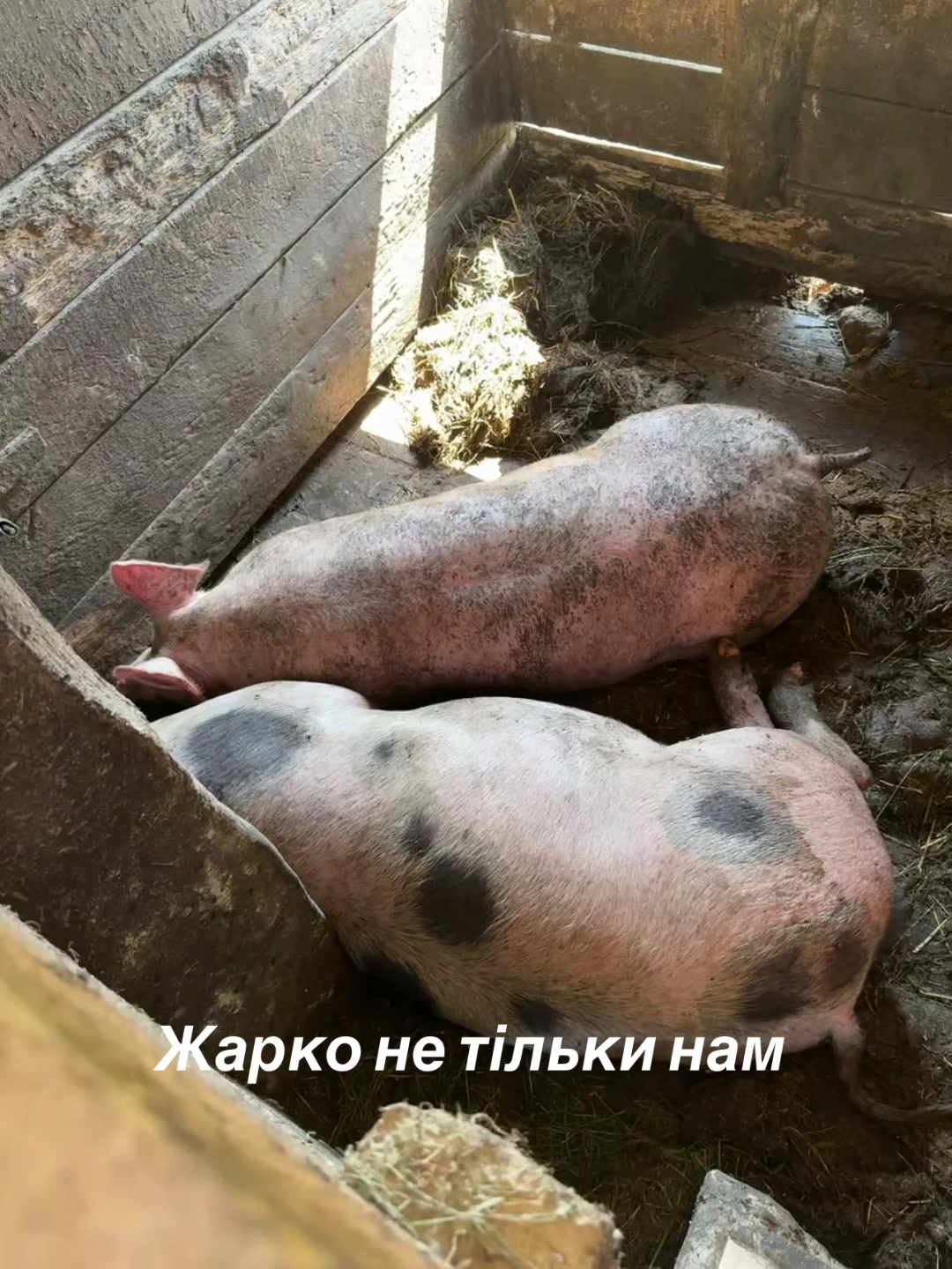 @БУР-ТЕХНО &mdash;-Компанія