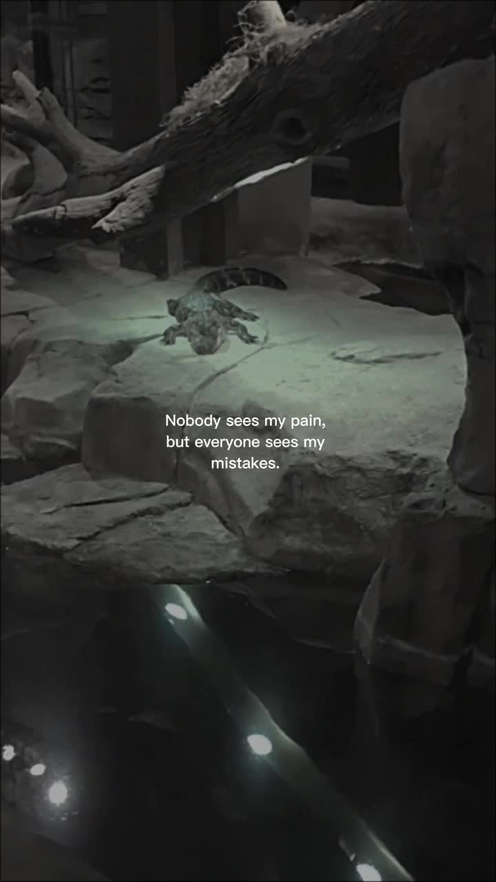@echo