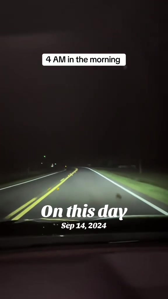 @MansfieldC12