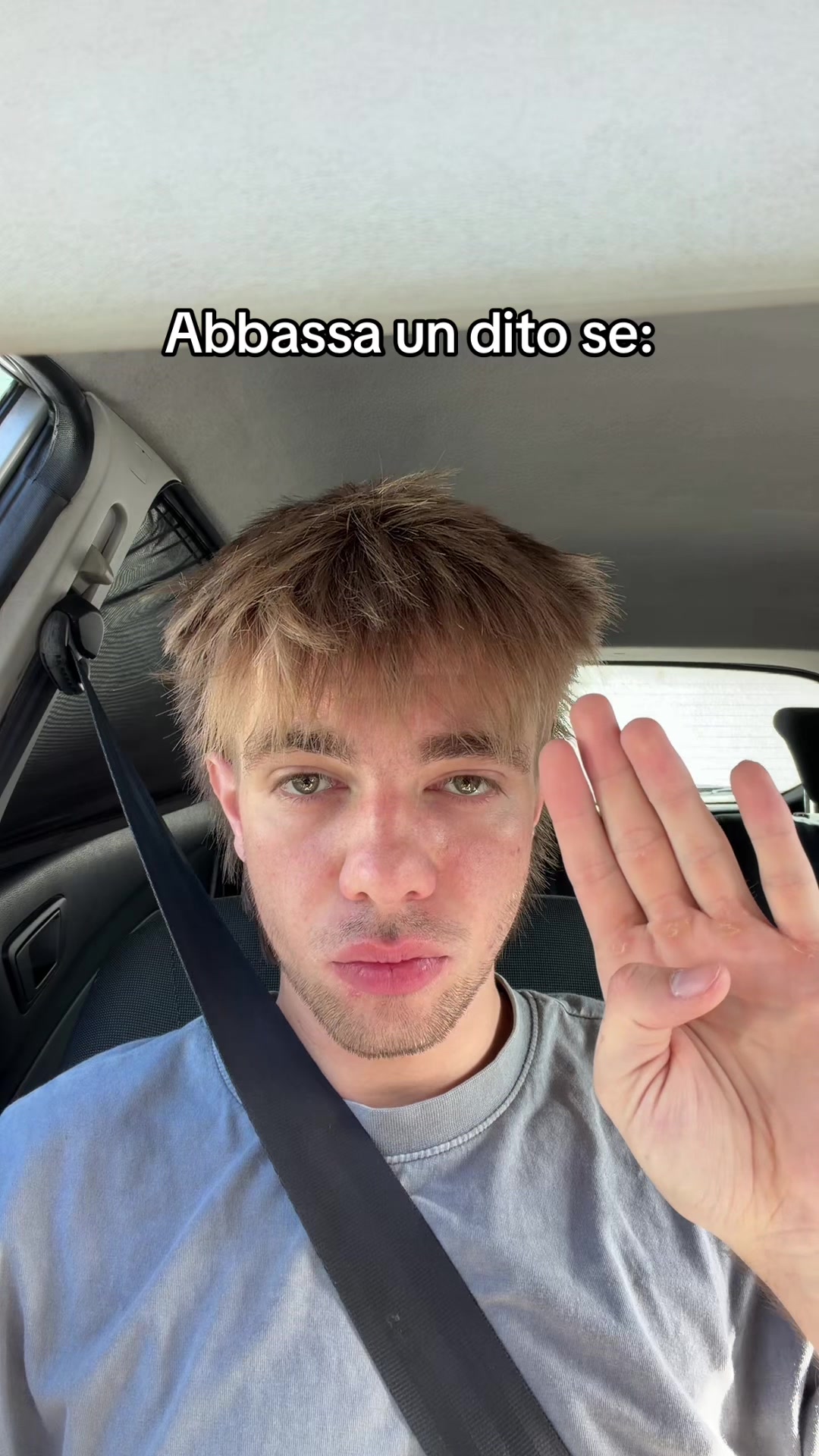 @Signor_Veneto