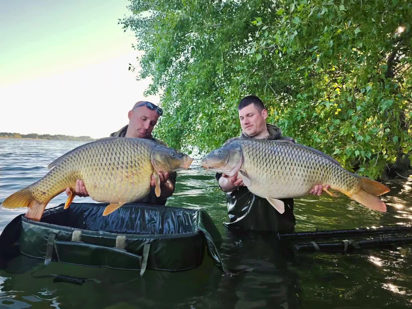 @Bait Bait Germany