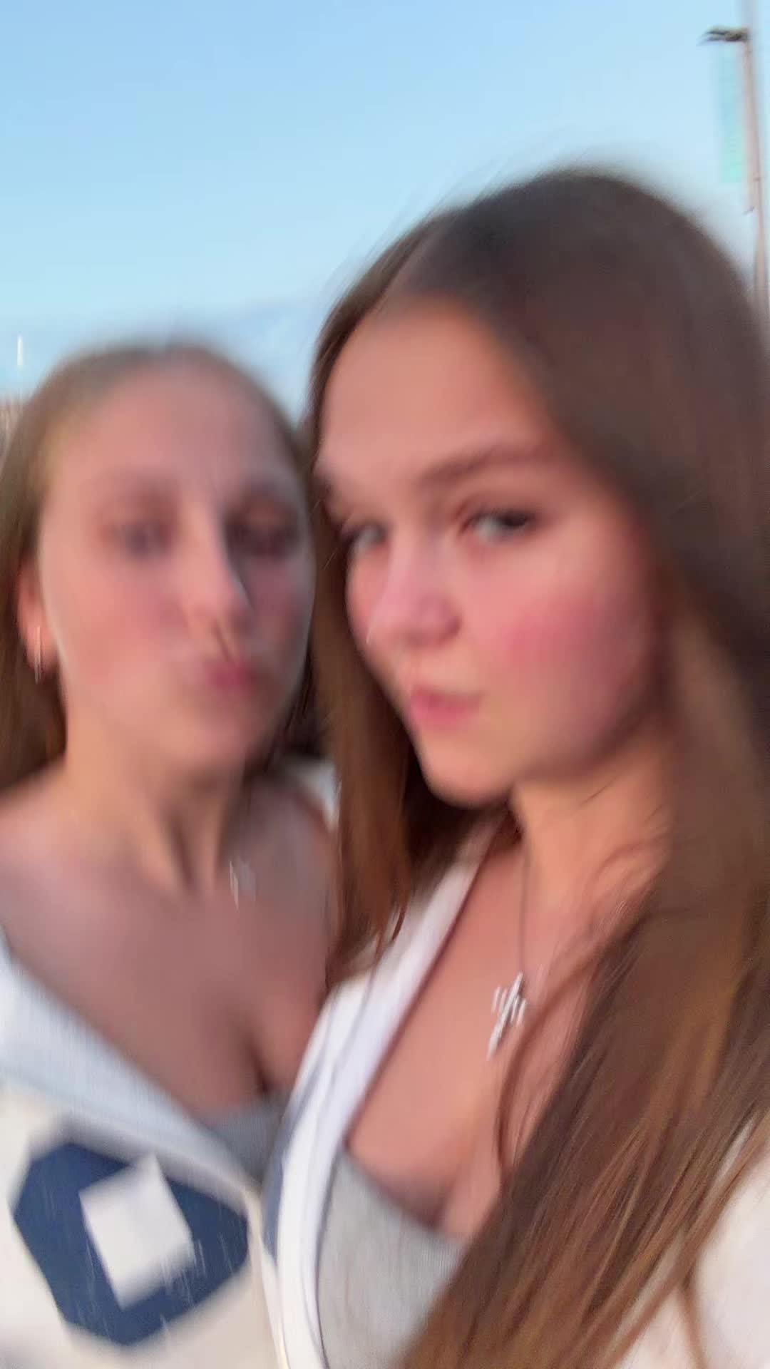 @hamsters