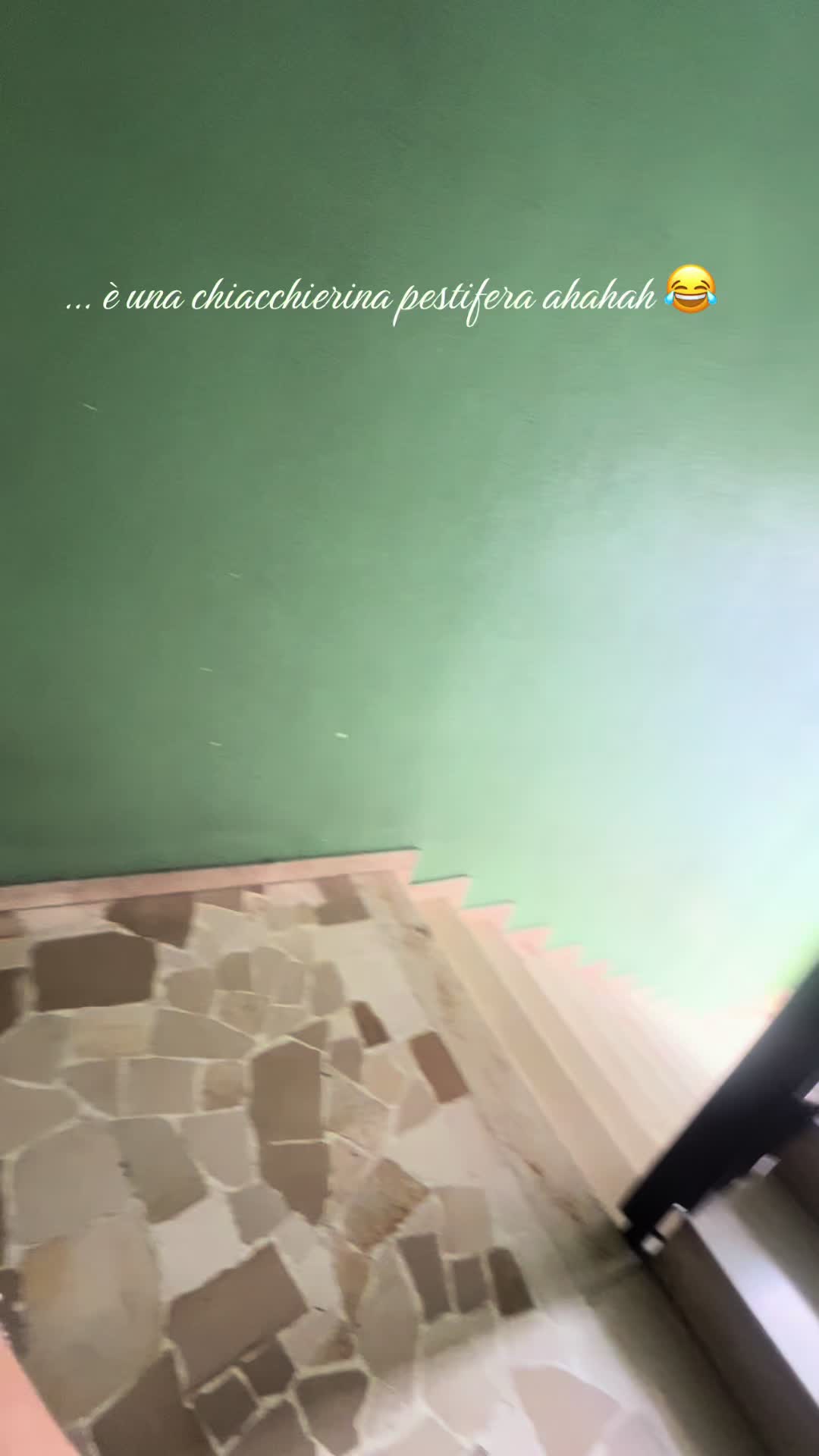 @nellyMary