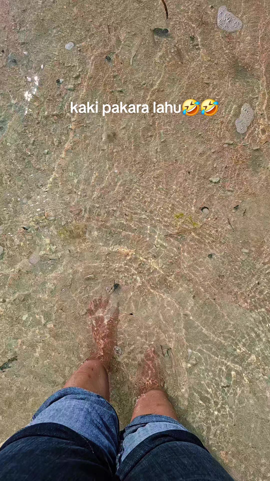 @_🐬 I.....