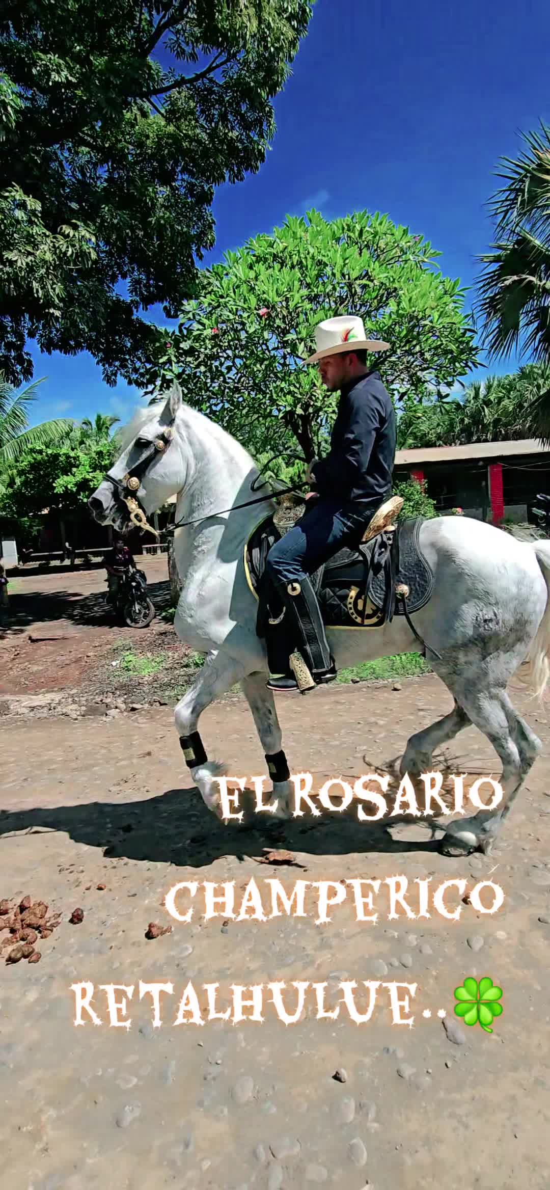 @🍀"GABINO"🍀