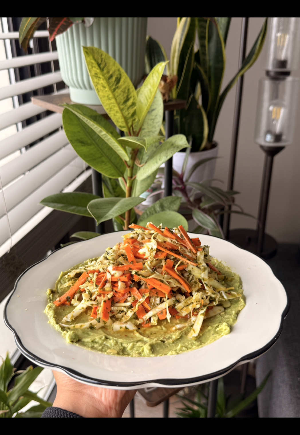 @Devanshi 🍋 vegetarian recipes