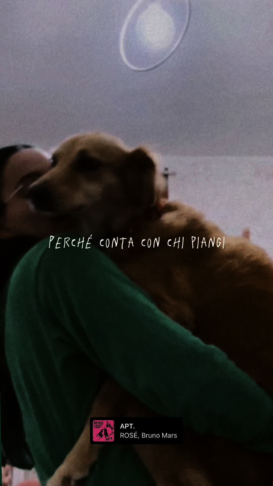 @Soyaa