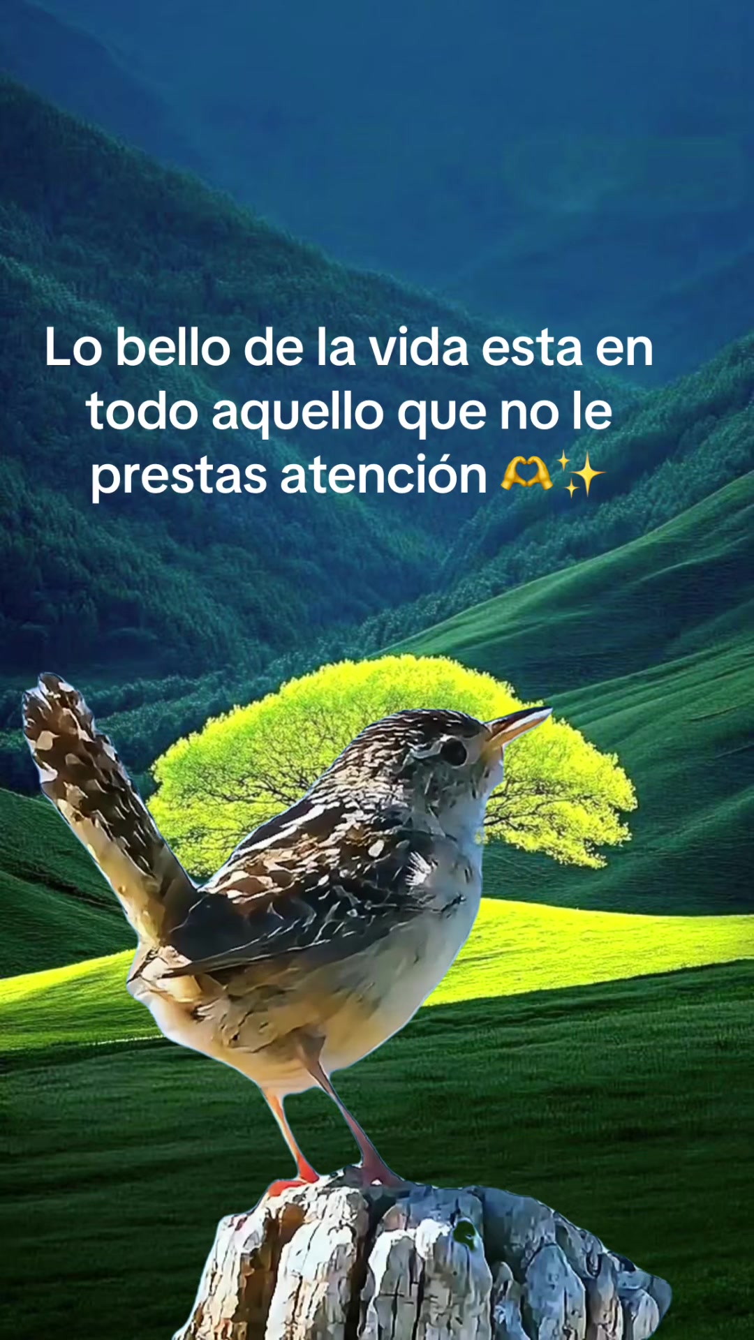 @Nayla Martinez