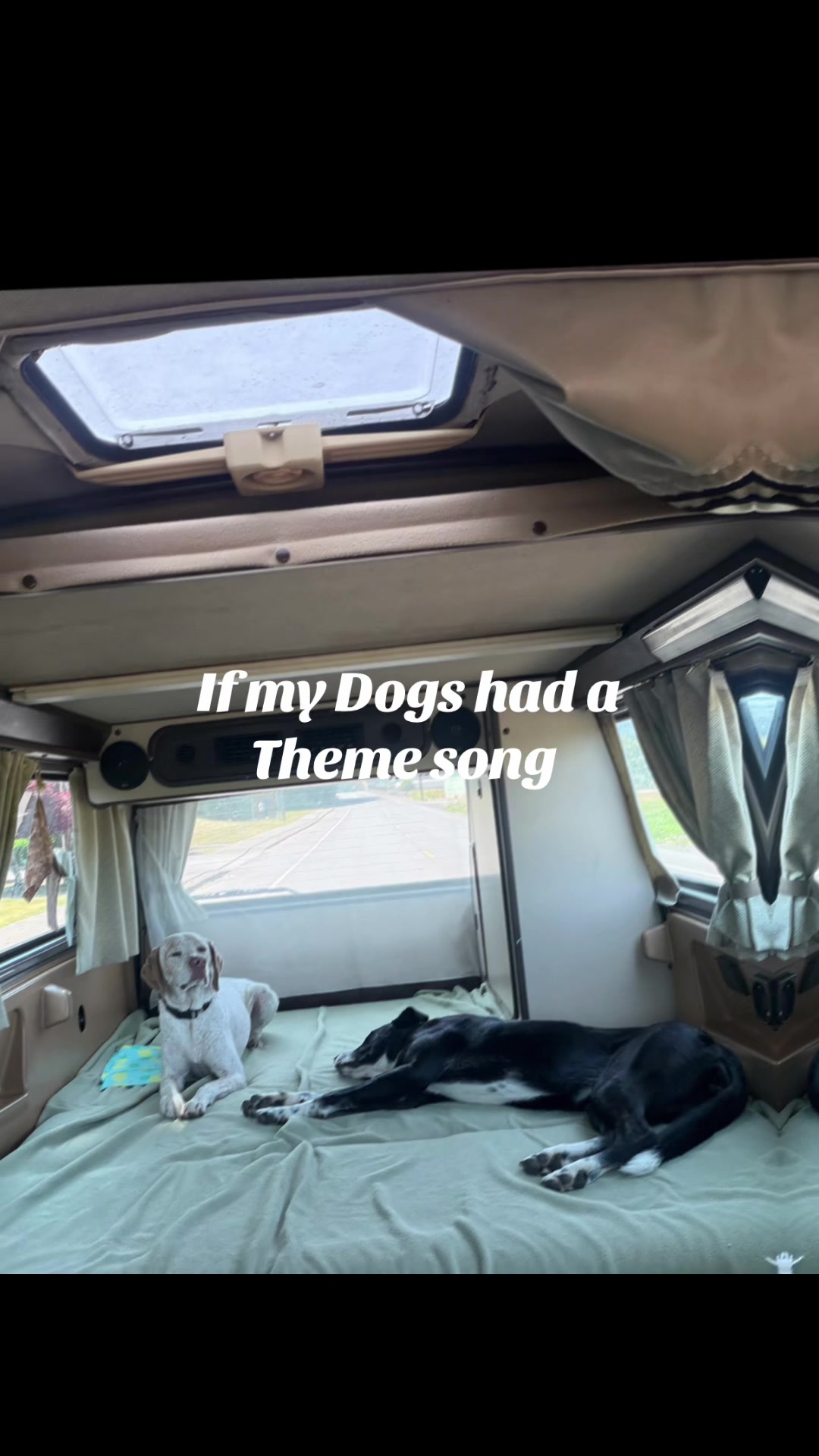 @oregonskyveek