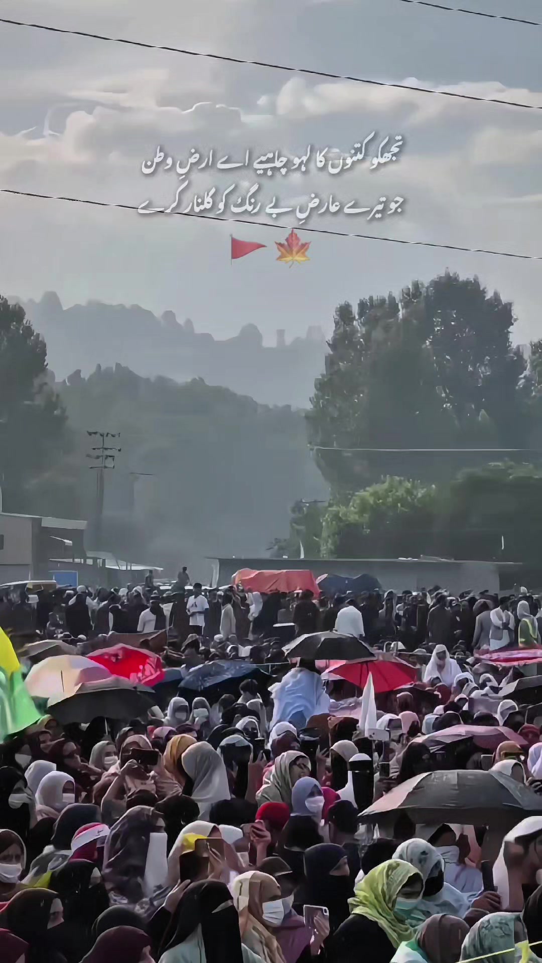 @جون ایلیاء