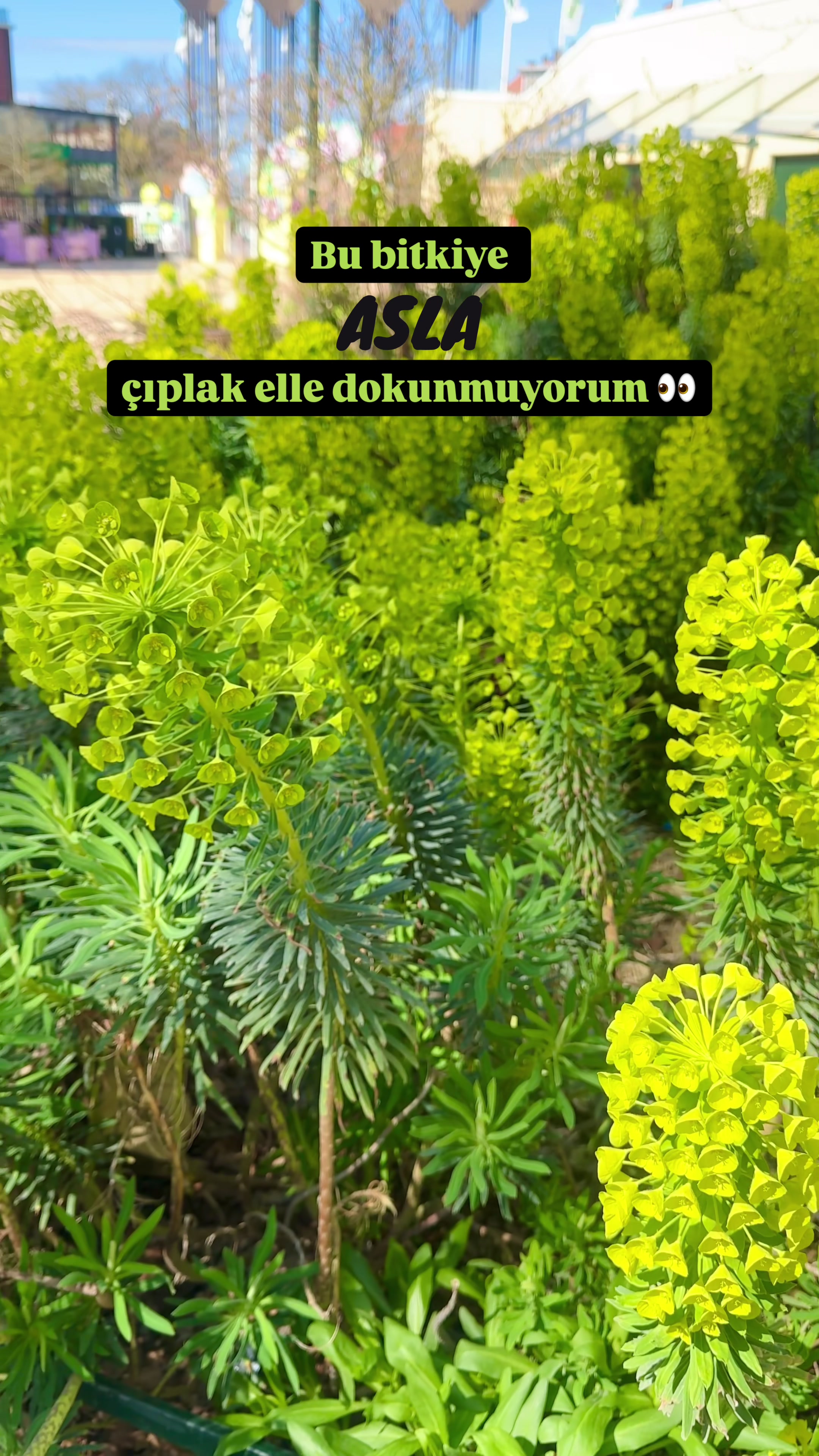 @Peyzaj Mimarı Buse 🍀