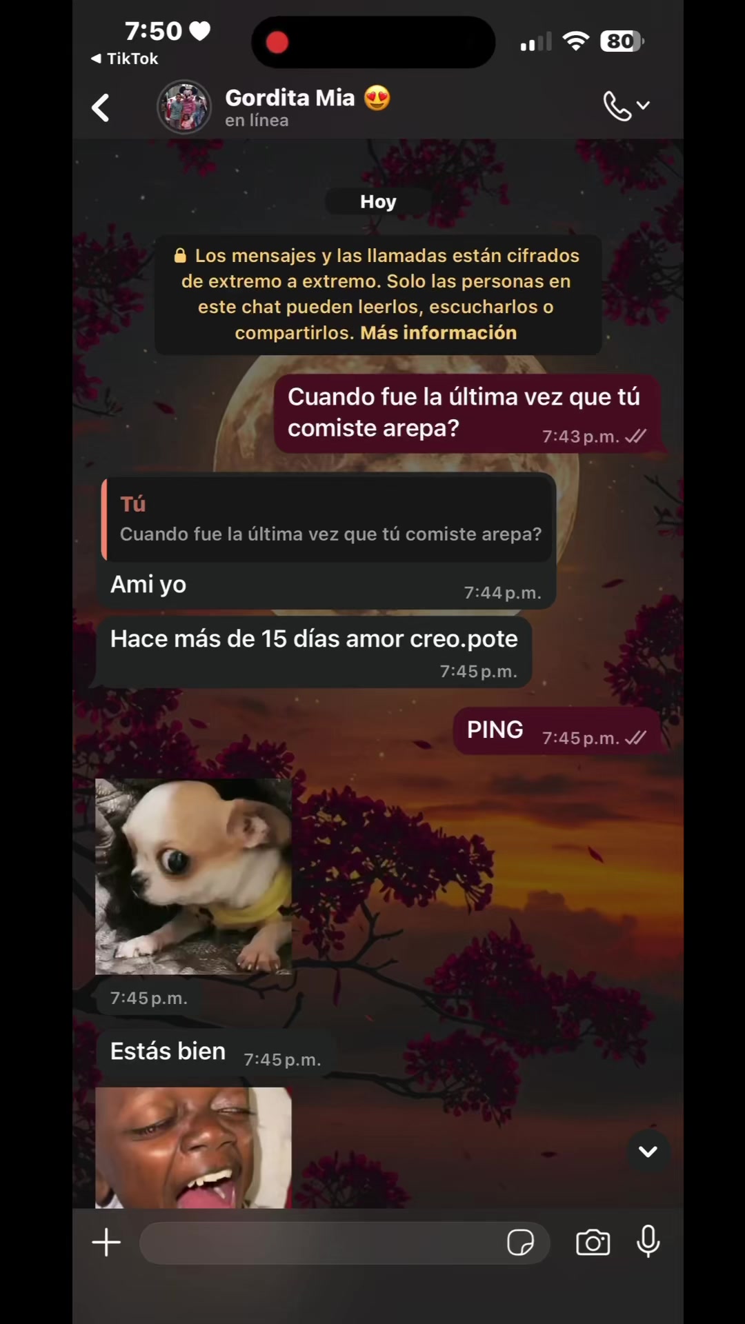@💜 Marin💜