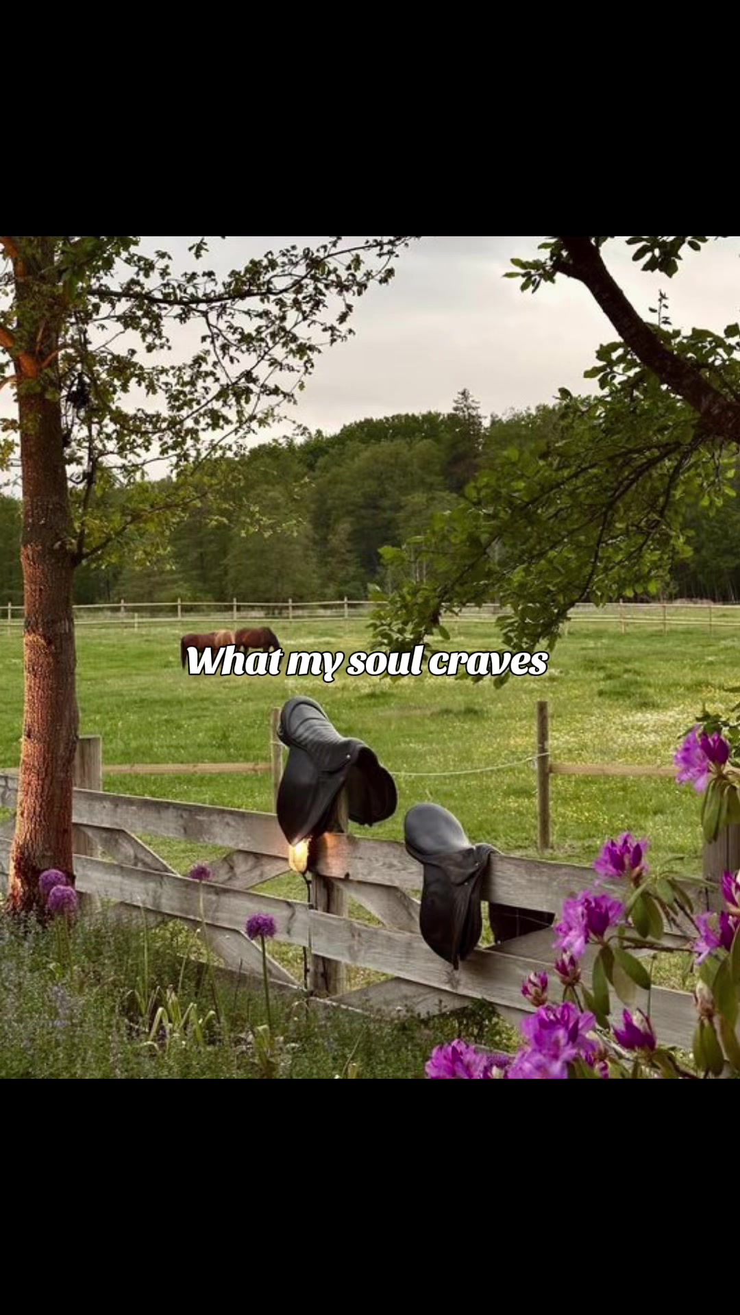 @that-horsechick