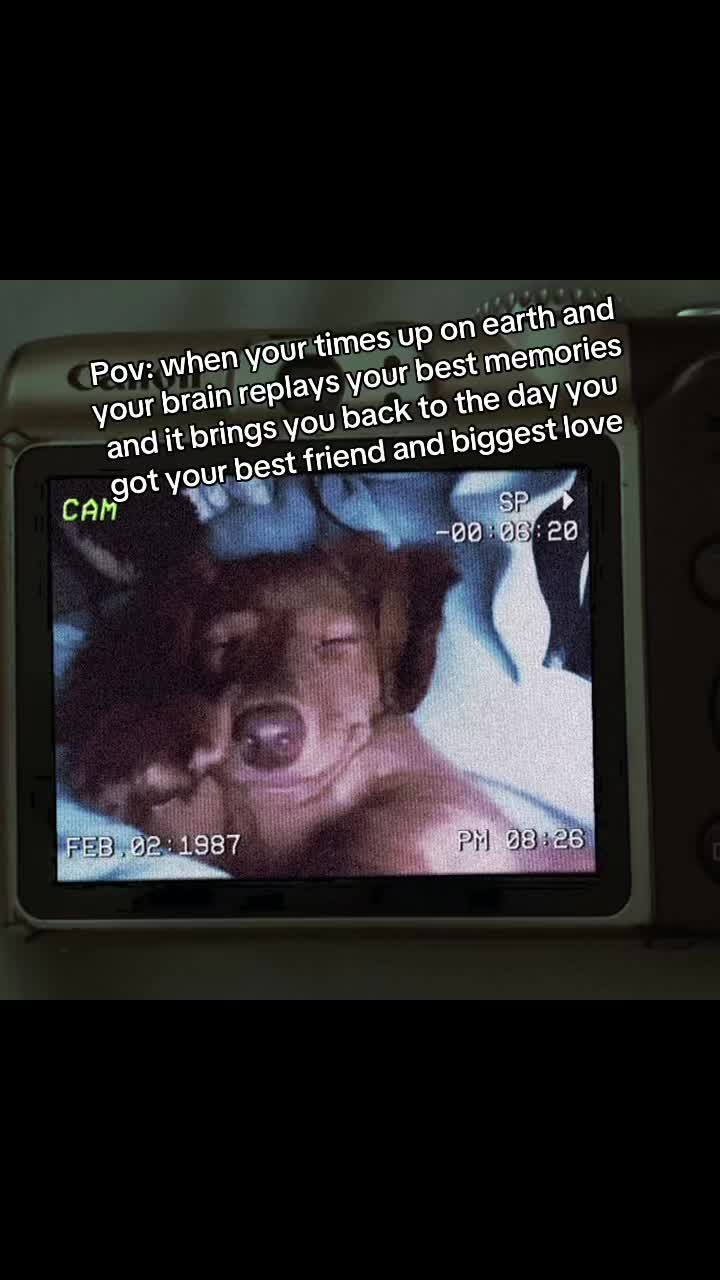 @𝓓𝓪𝓷𝓲𝓮𝓵𝓵𝓮 🤍
