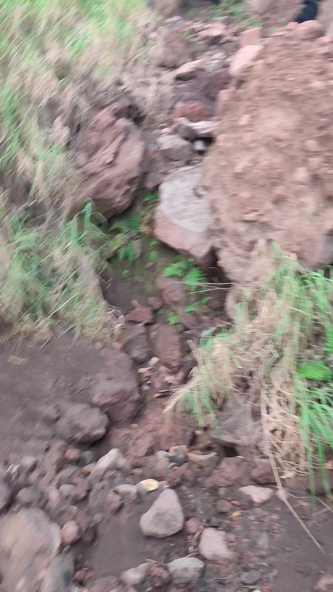 @Joseph Louis🌋🇳🇮🧗🏋️⛰️🦁🧳