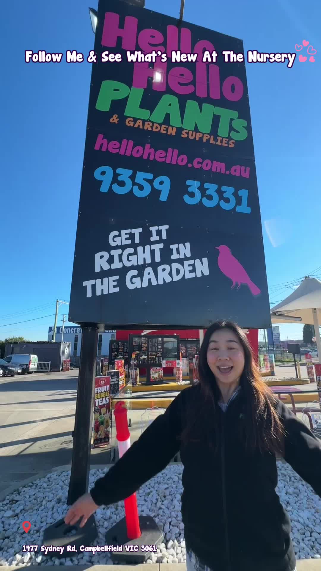 @Hello Hello Plants Nursery
