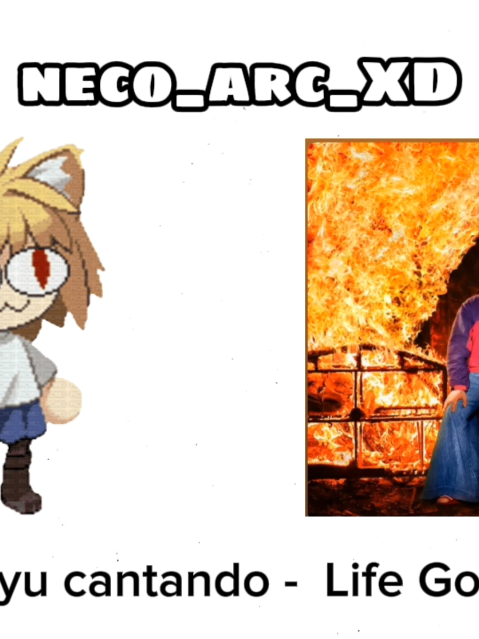 @neco_arc_XD