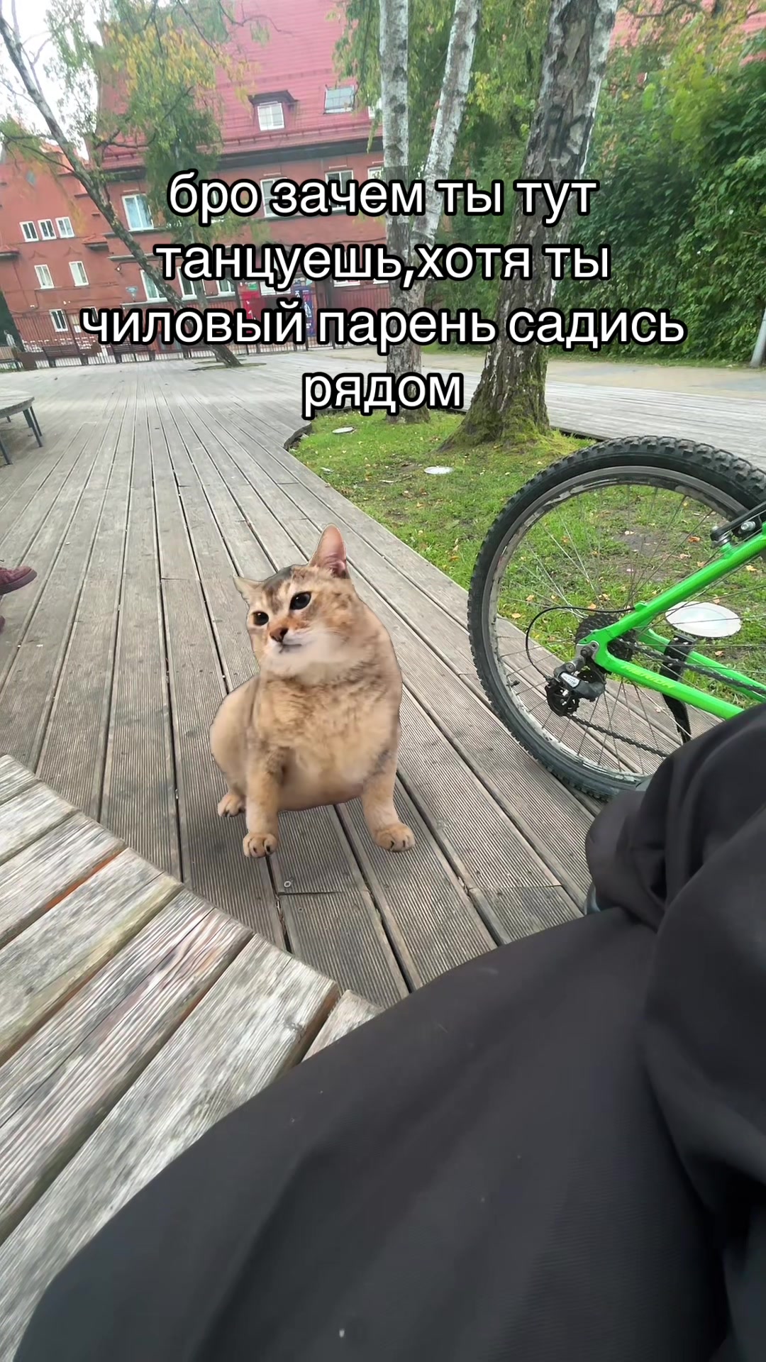 @myxa_52