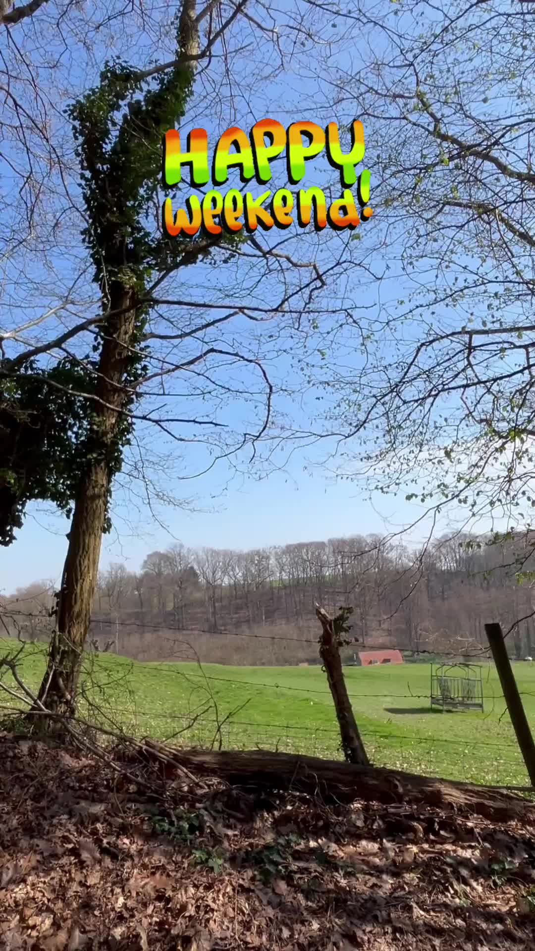 @Peter Franken 🦄