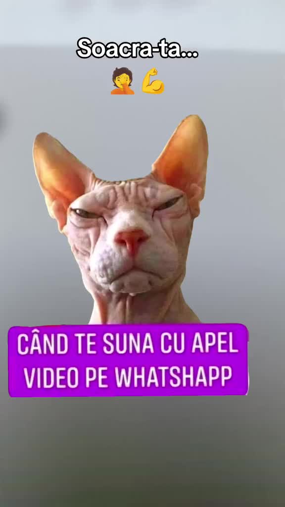 @๐๐
ผ๐
ฐ๐๐
ธ๐๐๐007๐