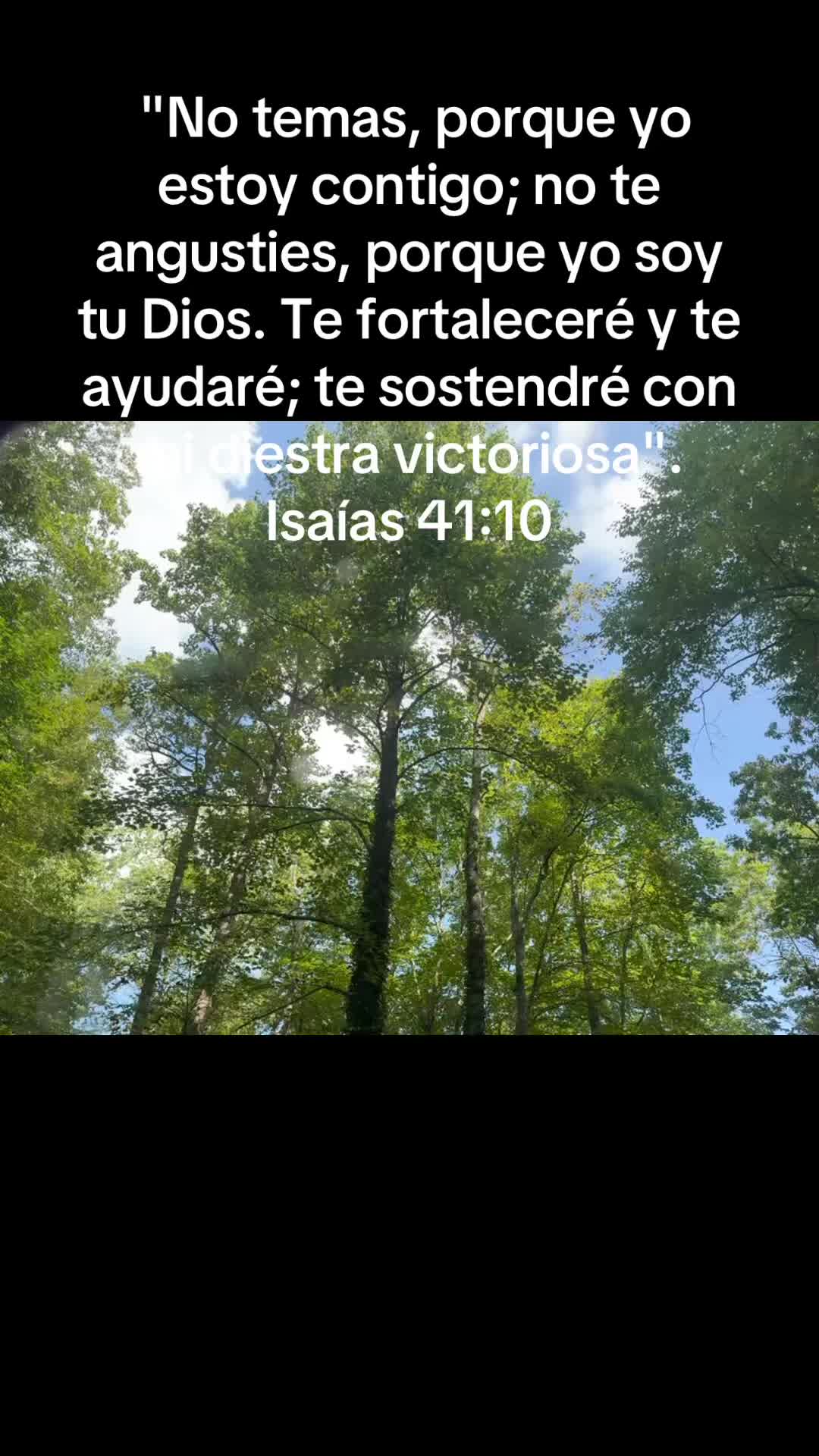 @user90950242613
