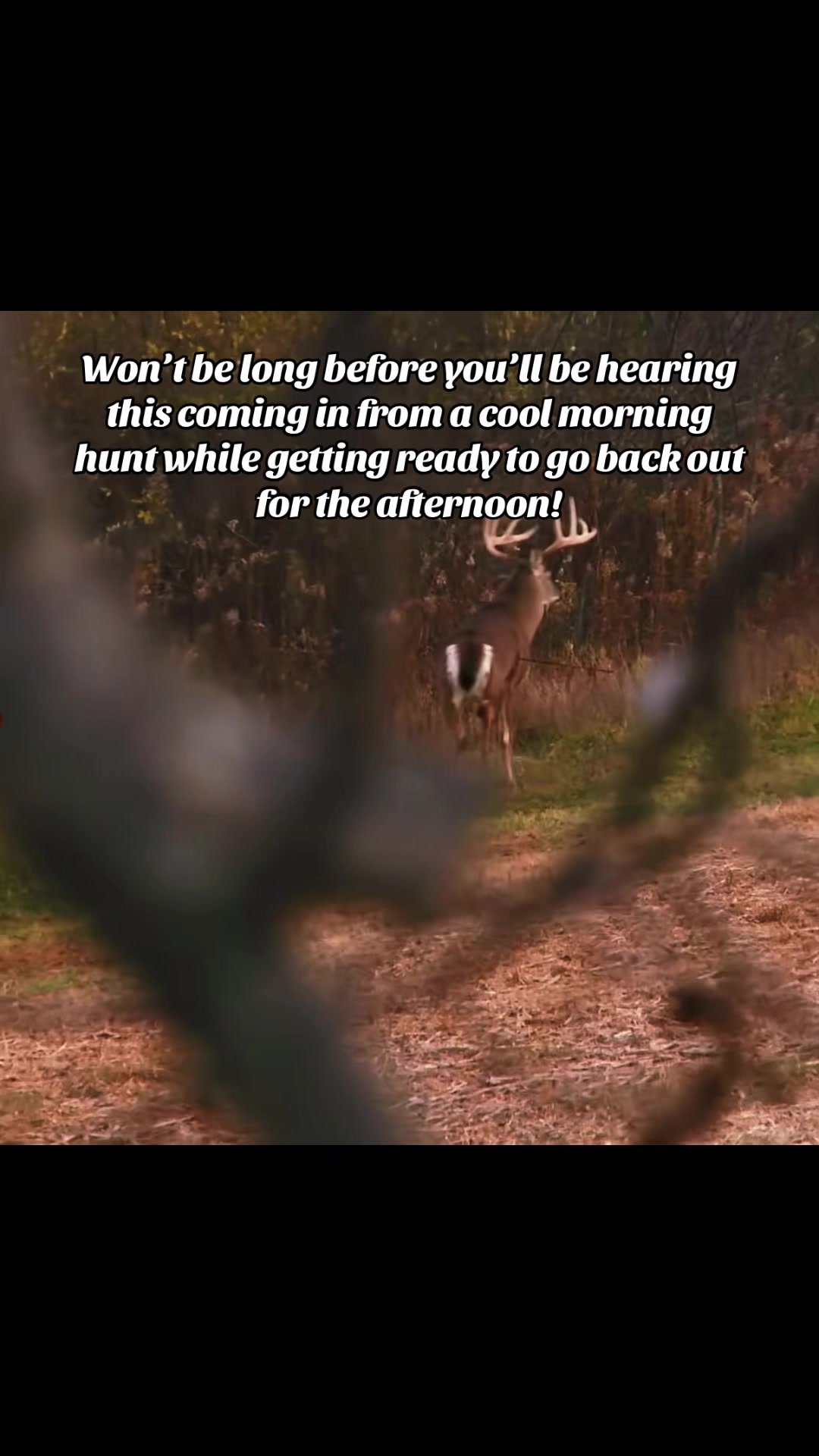 @🦌 Megabucks Outdoors 🦌