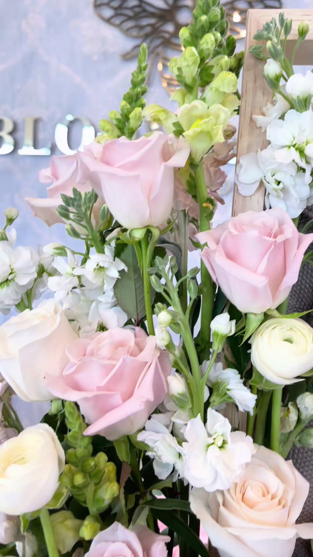 @Bloom And Box